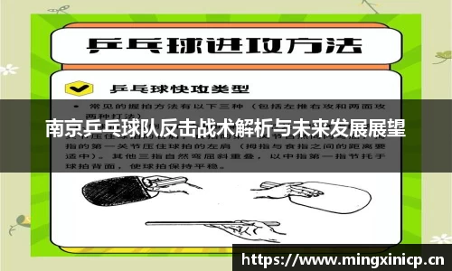 南京乒乓球队反击战术解析与未来发展展望