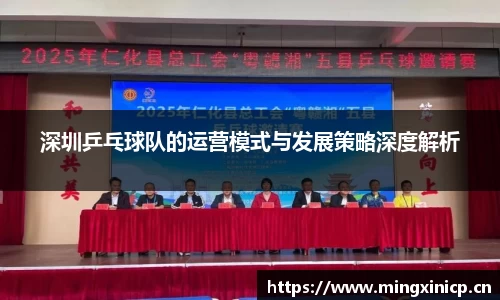 深圳乒乓球队的运营模式与发展策略深度解析