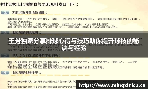 王芳独家分享排球心得与技巧助你提升球技的秘诀与经验