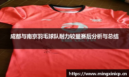 成都与南京羽毛球队耐力较量赛后分析与总结